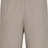 Selected Homme Shorts Regular Broek Heren Greige 2 Selected Homme Shorts Regular Broek Heren Greige -Selected Homme Groot Warenhuis 00bb00b9326cefa252a4379e7bf39790