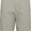 Selected Homme Shorts Regular Broek Pier Heren Lichtgrijs