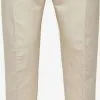 Selected Homme Pantalons Slimfit Pantalon Heren Beige 1 Selected Homme Pantalons Slimfit Pantalon Heren Beige -Selected Homme Groot Warenhuis 568352fa6907061127aff9d7b8a369ac