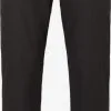 Selected Homme Pantalons Regular Pantalon Heren Zwart 1 Selected Homme Pantalons Regular Pantalon Heren Zwart -Selected Homme Groot Warenhuis 81e58c499a111ed2bab170e5b98ce4ae