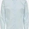 Selected Homme Zakelijke Overhemden Slim Fit Zakelijk Overhemd NATHAN Heren Lichtblauw / Donkerblauw 1 Selected Homme Zakelijke Overhemden Slim Fit Zakelijk Overhemd NATHAN Heren Lichtblauw / Donkerblauw -Selected Homme Groot Warenhuis 90bfbdeec9ed26f47f1852e380f84f26
