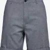 Selected Homme Chino Shorts Regular Chino LUTON Heren Donkergrijs -Selected Homme Groot Warenhuis 91f8817c70184914a26ff339afbdf82f