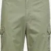 Selected Homme Cargo Shorts Regular Cargobroek Heren Olijfgroen 1 Selected Homme Cargo Shorts Regular Cargobroek Heren Olijfgroen -Selected Homme Groot Warenhuis a2ab5020a816d5430f09f2a509d0ec43
