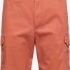 Selected Homme Cargo Shorts Regular Cargobroek Heren Rood 2 Selected Homme Cargo Shorts Regular Cargobroek Heren Rood -Selected Homme Groot Warenhuis c868aad861f49402236c6683c4af35f3