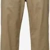 Selected Homme Chinos Regular Chino Salford Heren Donkerbeige -Selected Homme Groot Warenhuis d33df1f797f21c2655d230af43ee9962