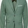 Selected Homme Blazers Regular Fit Colbert Oasis Heren Lichtgroen 2 Selected Homme Blazers Regular Fit Colbert Oasis Heren Lichtgroen -Selected Homme Groot Warenhuis ea61e07bc99aa1d093873940731a756f