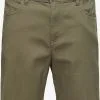 Selected Homme Chino Shorts Regular Chino CARLTON Heren Olijfgroen 1 Selected Homme Chino Shorts Regular Chino CARLTON Heren Olijfgroen -Selected Homme Groot Warenhuis eeea06910e0f54a1e25b003885f6c07c